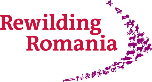 Rewilding Romania